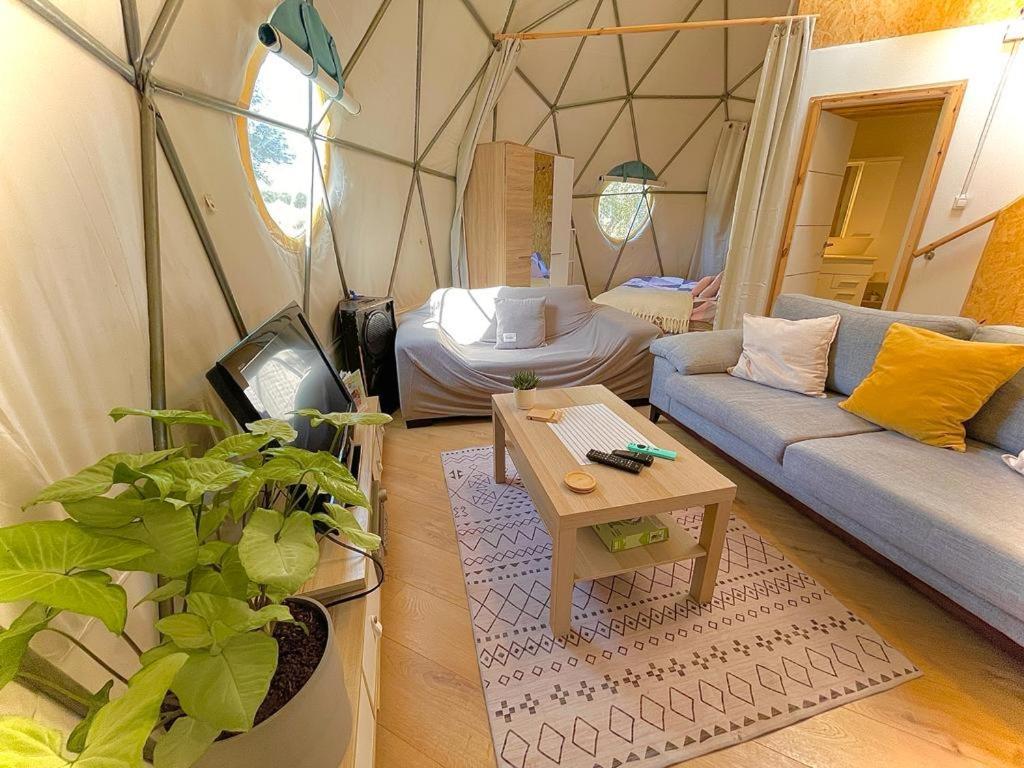 Olive Dome - כיפה גיאודזית ענקית ומודרנית בין עצי הזית Yavneʼel Exterior foto