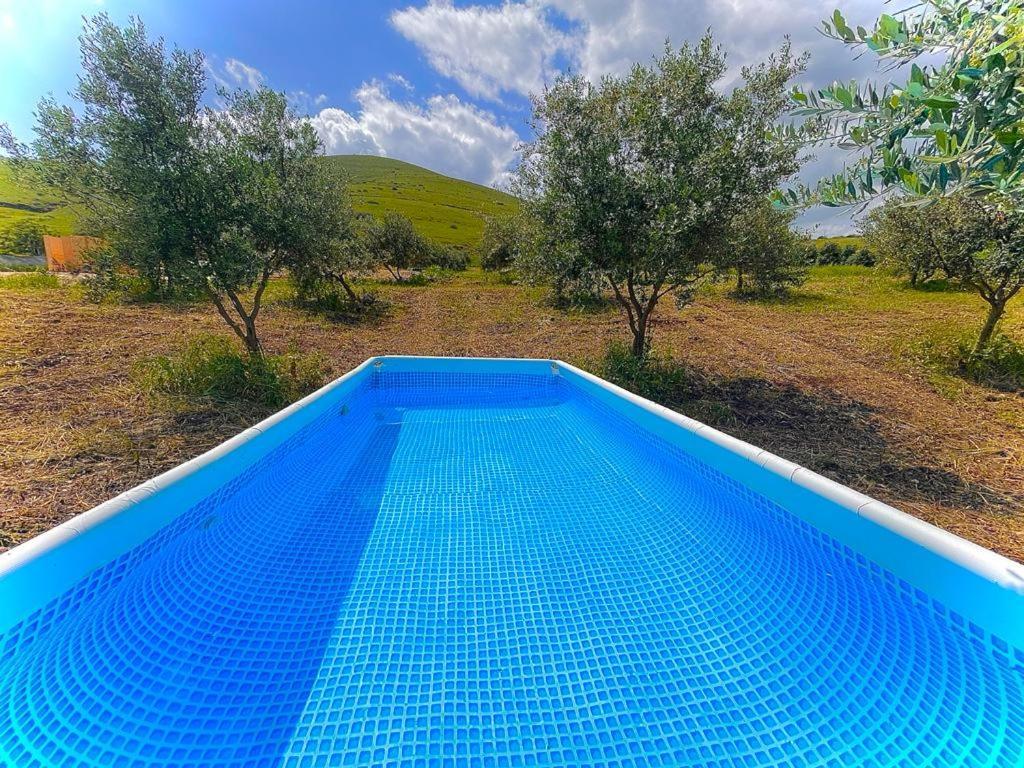 Olive Dome - כיפה גיאודזית ענקית ומודרנית בין עצי הזית Yavneʼel Exterior foto
